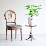 خرید برگ انجیری تخت انتخاب ایده آلی است.