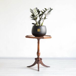 گلدان آپارتمانی زاموفیلیا بلک