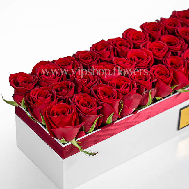 جعبه گل با رزهای هلندی قرمز هدیه ای عاشقانه است.