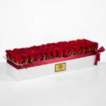 رز هلندی قرمز، هدیه ای عالی برای معشوق شما است.