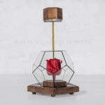 رز جاودان همراه با استند نور شماره 19