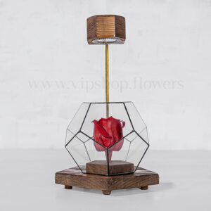 رز جاودان همراه با استند نور شماره 19