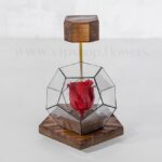 ظاهر رز جاودان شماره 19