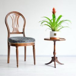گازمانیا زهنی در کنار صندلی