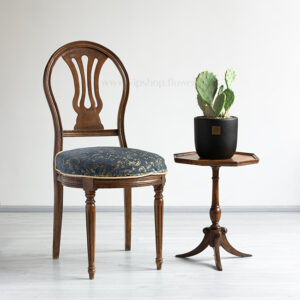 گیاه هوازی خزه اسپانیایی