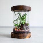 تراریوم استوانه ای شماره 14