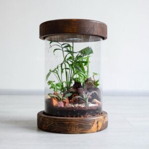 تراریوم استوانه ای شماره 14