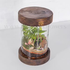 ظاهر بالایی تراریوم استوانه ای شماره 14