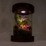 تراریوم استوانه ای شماره 14 چراغ دار در تاریکی