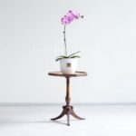 گلدان ارکیده زرد و بنفش