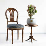 کاکتوس افوربیا لاکتی دفرمه ابعادی مناسب دارد.