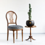 ابعاد کاکتوس صخره ای سرئوس با گدان مشکی مناسب برای نگهداری در منزل است.