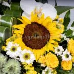 خرید اینترنتی و آسان جام گل آفتابگردان