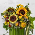 قیمت جعبه گل استوانه ای آفتابگردان
