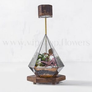 خرید تراریوم شیشهای مخروطی | ارسال فوری در محل