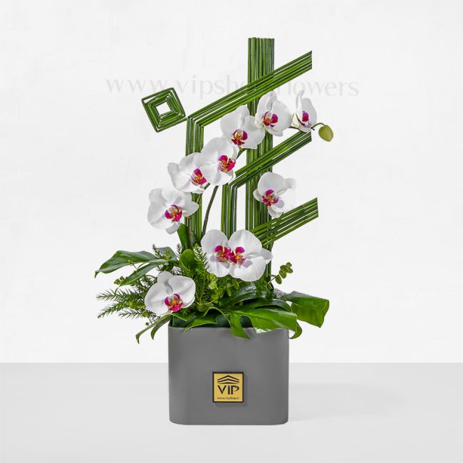 باکس گل عروسی با گل ارکیده و خرید آنلاین