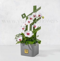 باکس گل عروسی با گل ارکیده و خرید آنلاین