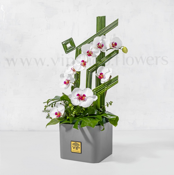 باکس گل عروسی با گل ارکیده و خرید آنلاین