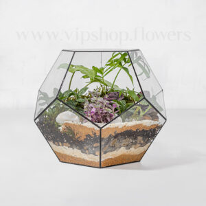 خرید تراریوم شیشهای 5 ضلعی