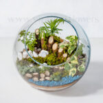 سفارش اینترنتی و آسان تراریوم شیشه‌ای کروی-گلفروشی VIP