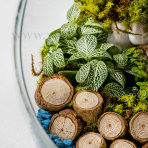 سفارش اینترنتی و آسان تراریوم شیشهای کروی-گلفروشی VIP