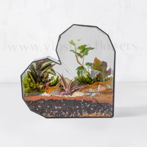 سفارش اینترنتی تراریوم شیشهای قلبی همراه با دیزاینی لاکچری