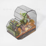 سفارش اینترنتی تراریوم شیشه‌ای قلبی همراه با دیزاینی خاص و متفاوت