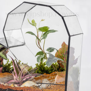 سفارش اینترنتی تراریوم شیشهای قلبی همراه با دیزاینی خاص و متفاوت
