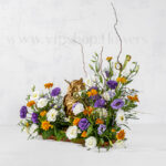 گل روز دامپزشک