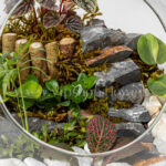 جزئیات تراریوم جنگلی