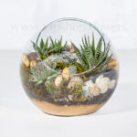 تراریوم نیمه باز