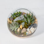 تراریوم نیمه باز شماره 23