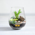 خرید تراریوم جزیره‌ای بیضی شکل