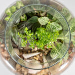 تراریوم TR27 - Image 6