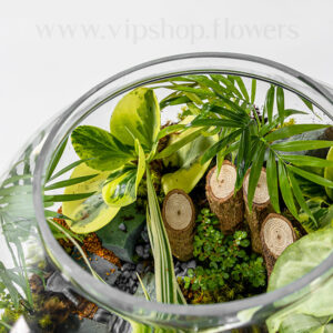 تراریوم کروی تنگی از نمای نزدیک