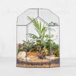 ترارویوم رومیزی 6ضلعی شیشهای