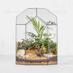 ترارویوم رومیزی 6ضلعی شیشهای