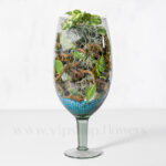 تراریوم پایه دار شیشه ای متوسط