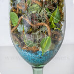 دیزاین تراریوم پایه دار شیشه ای