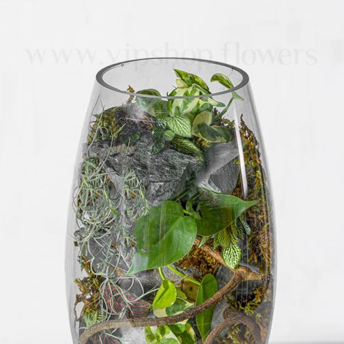 جزئیات گیاهان داخل تراریوم پایه دار شیشه ای
