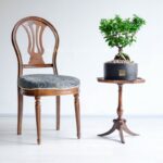 بونسای فیکوس رتوزا با دیزاینی متفاوت