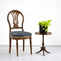 پتوس نئون