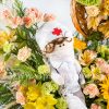عروسک پرستار باکس گل با عروسک پزشک و پرستار