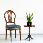 ابعاد سانسوریا مهتابی برای نگهداری در منزل مناسب است.