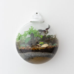 تراریوم خاص با شن رنگی