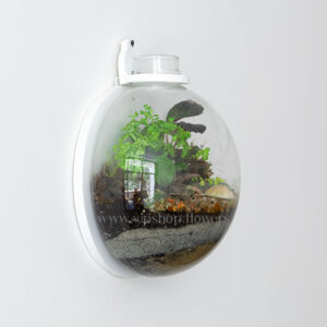 تراریوم خاص