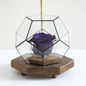 گل رز جاودان 5 ضلعی پایه چوبی از نمای نزدیک