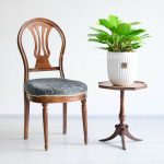 فیلودندرون لیمویی بزرگ برای فضاهای بزرگ مناسب است.