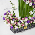 جعبه گل لیسیانتوس