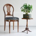 گلدان آپارتمانی بونسای شفلرا - Image 7